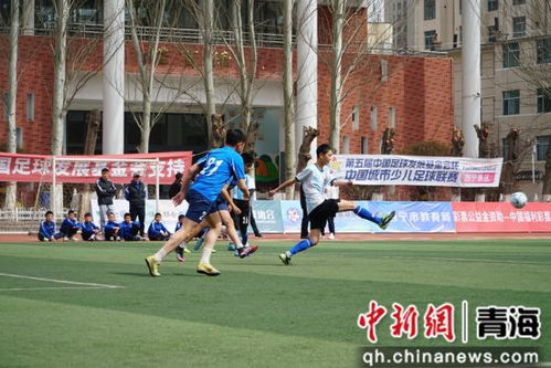 足球比赛:草皮上的热血、心跳与生活方式的联动